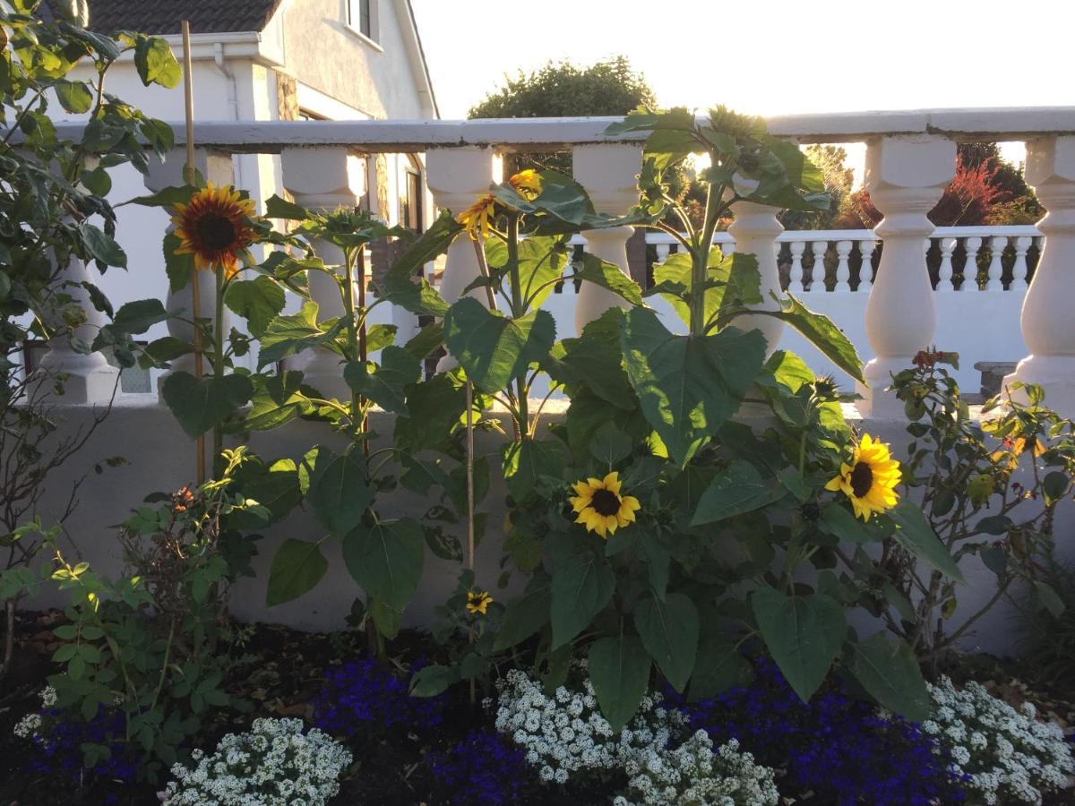 Seacrest B&B Galway Eksteriør billede