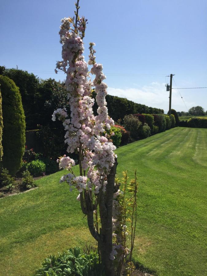 Seacrest B&B Galway Eksteriør billede